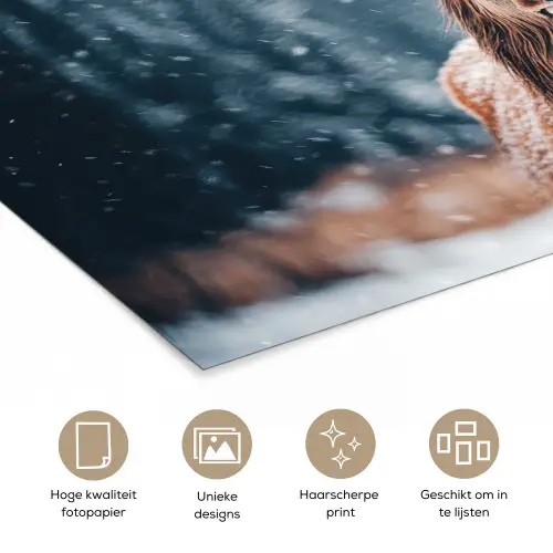 Hert - Dieren - Landschap - Winter - Sneeuw poster papier klein -closeup_NL