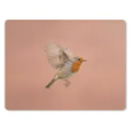 Roodborst - Natuur - Roze muismat rubber klein -3d