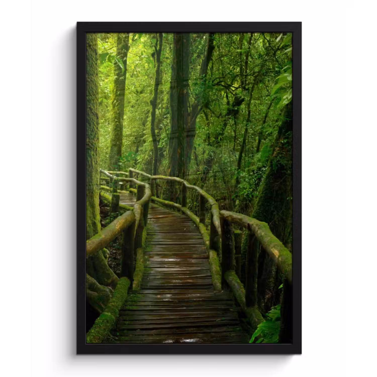 Poster met lijst - Jungle - Brug - Mos - Natuur - Tropisch