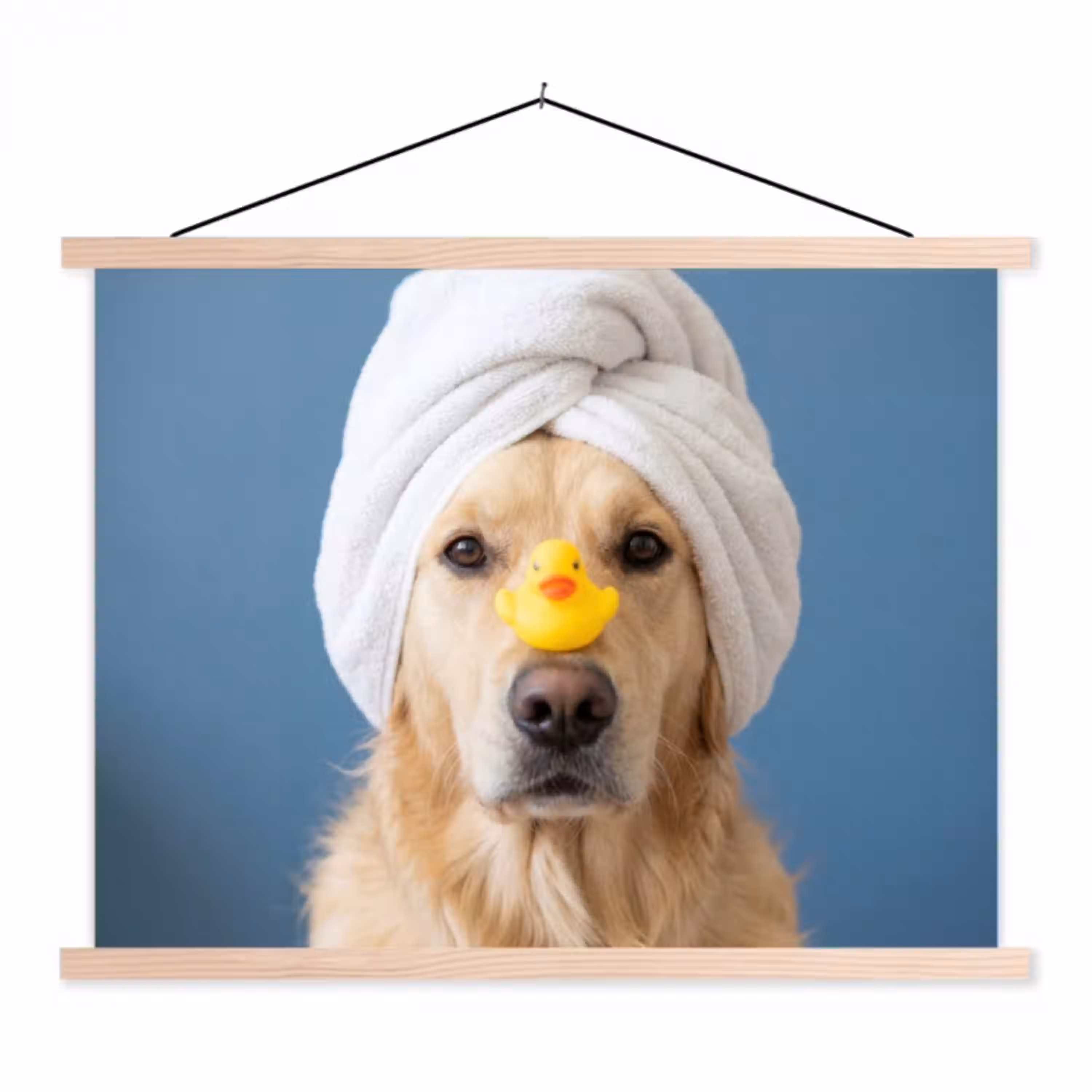 Hond - Badeend - Geel textielposter latten blank klein -3d