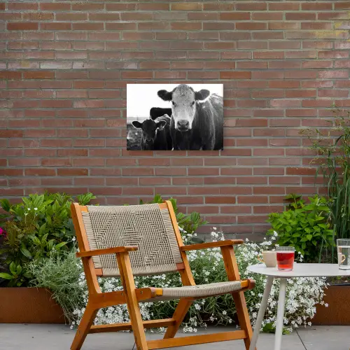 Koeien - Zwart - Wit Tuinposter op houten frame 2 cm dik klein -sfeer3