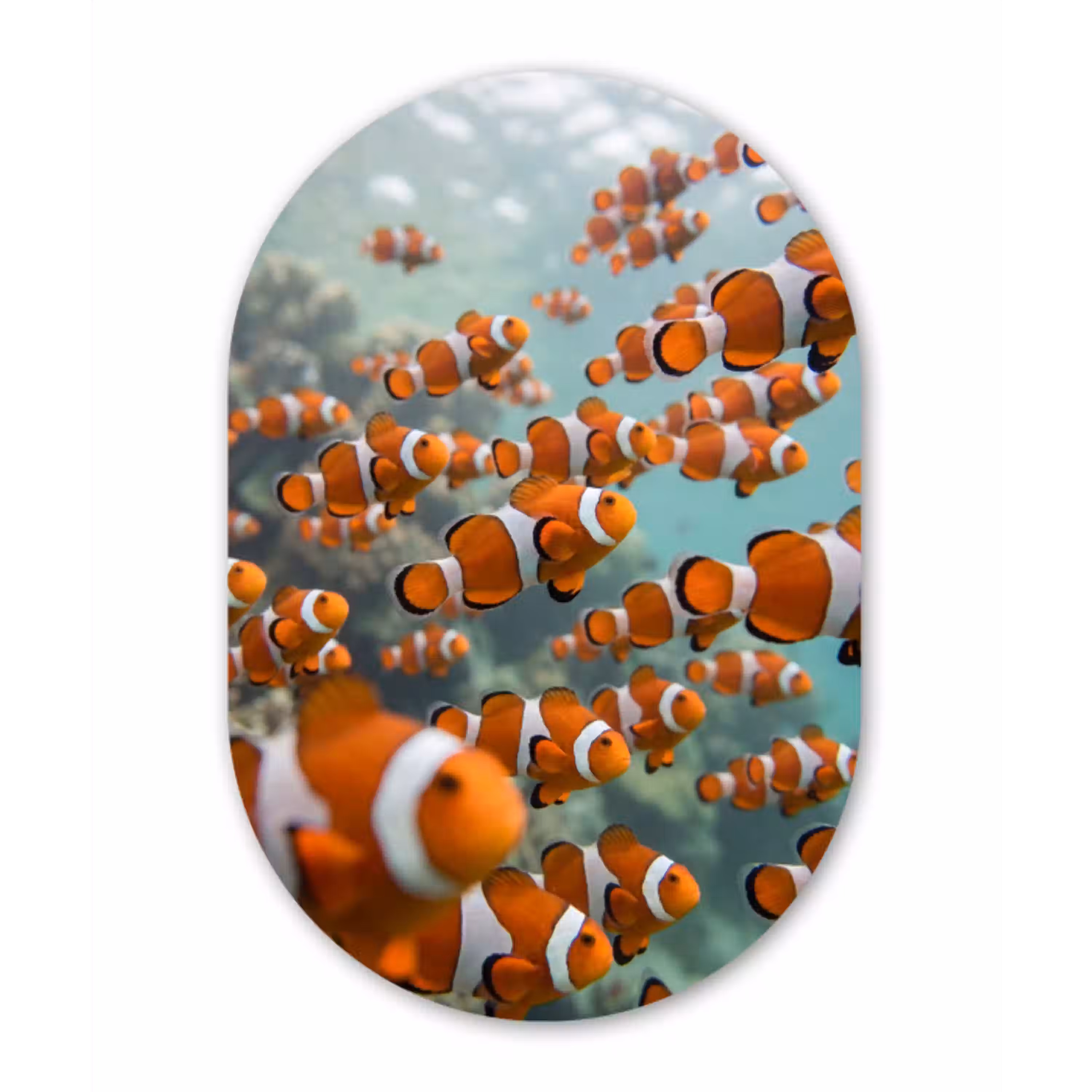 Vis - School - Onderwater - Dieren - Oranje Wandcirkel Ovaal Aluminium middel -3d