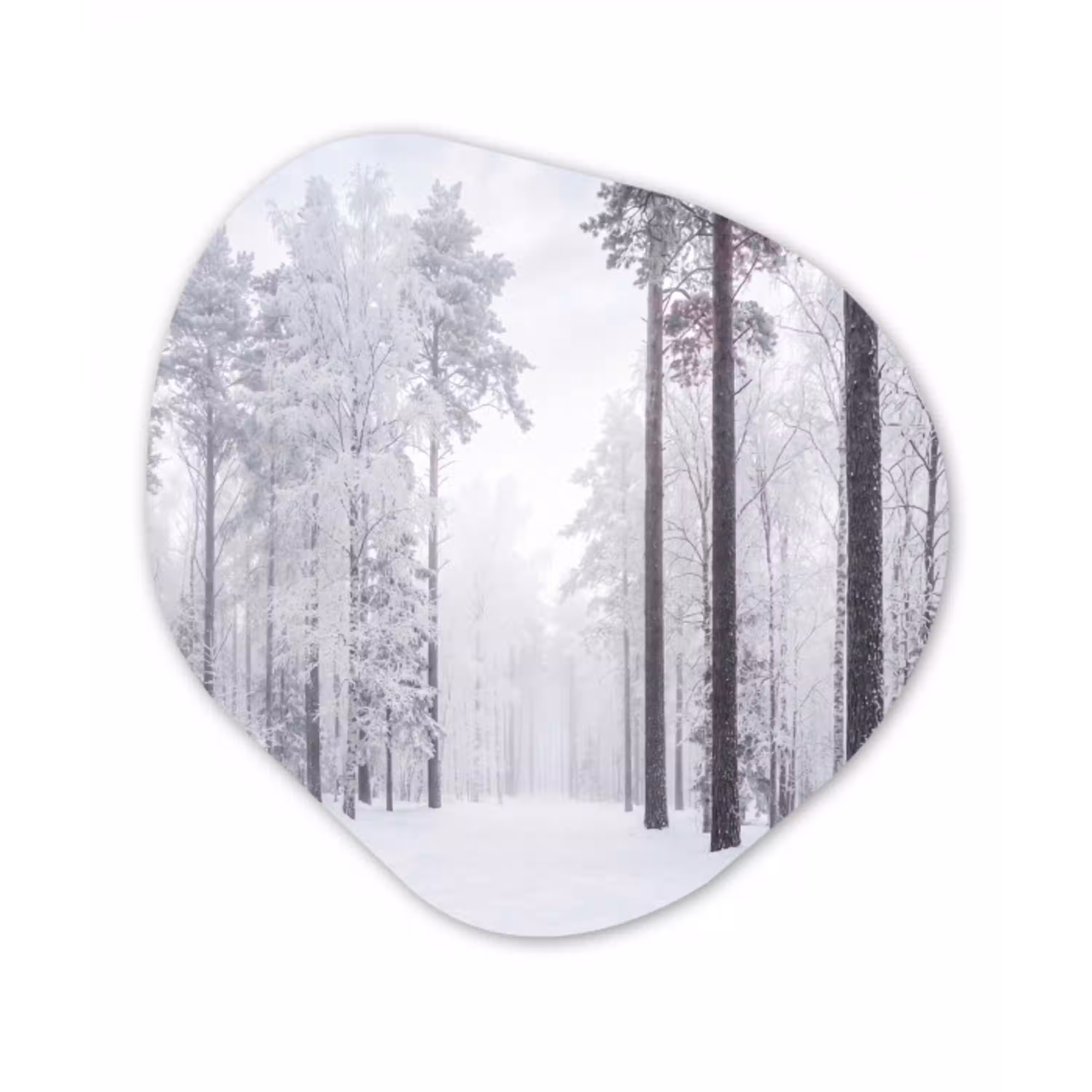 Bos - Sneeuw - Pad - Winter - Stilte Wandcirkel Organisch Aluminium middel -3d