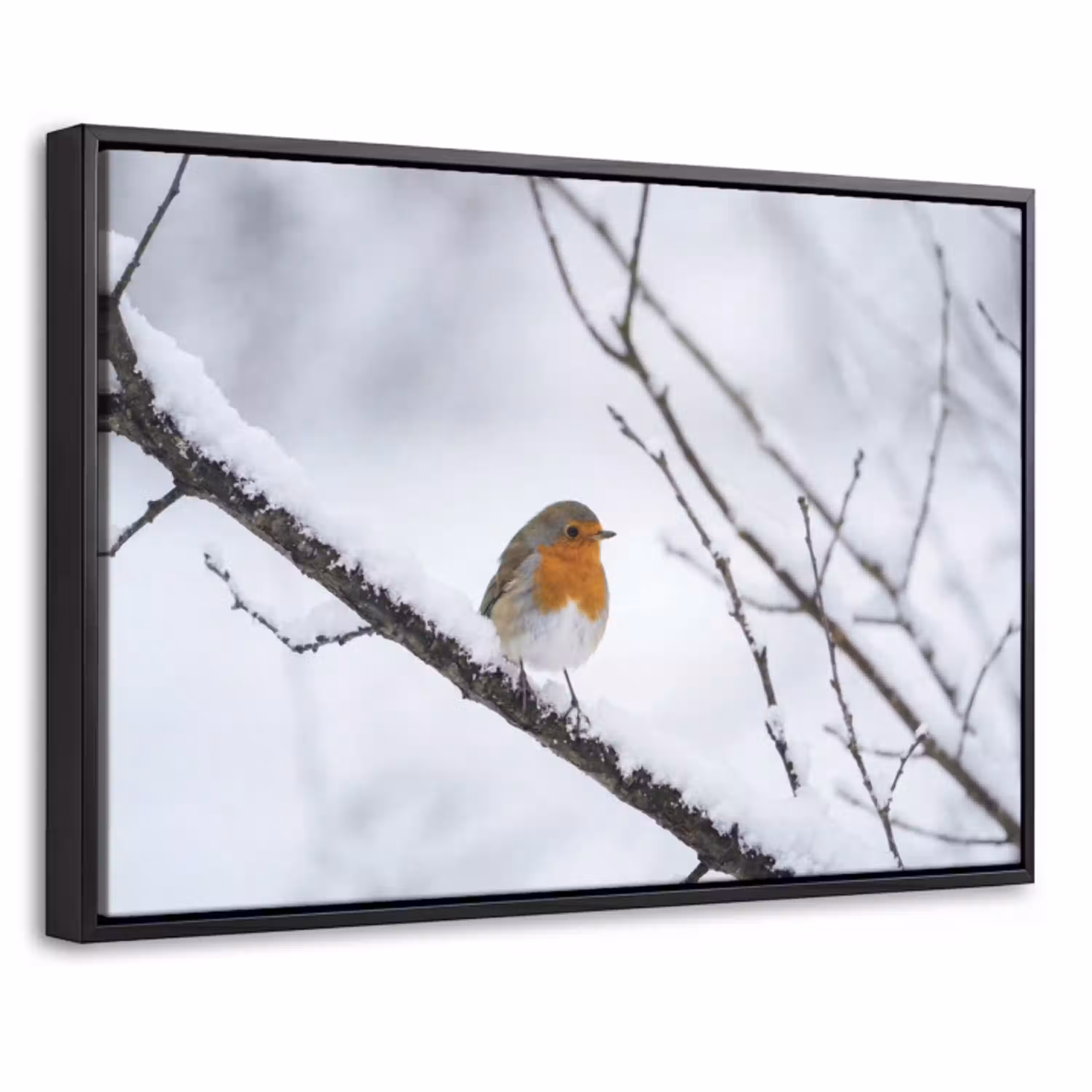 Roodborstje - Tak - Sneeuw - Winter - Levendig Canvas met baklijst klein -threedimensional_3d_global
