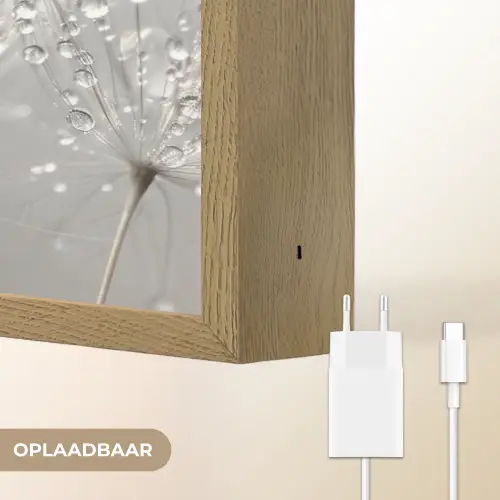 Paardenbloem - Waterdruppels - Stilleven - Modern Light Box met batterij (Wandlamp) middel -USP_websiteoplaadbaarNL
