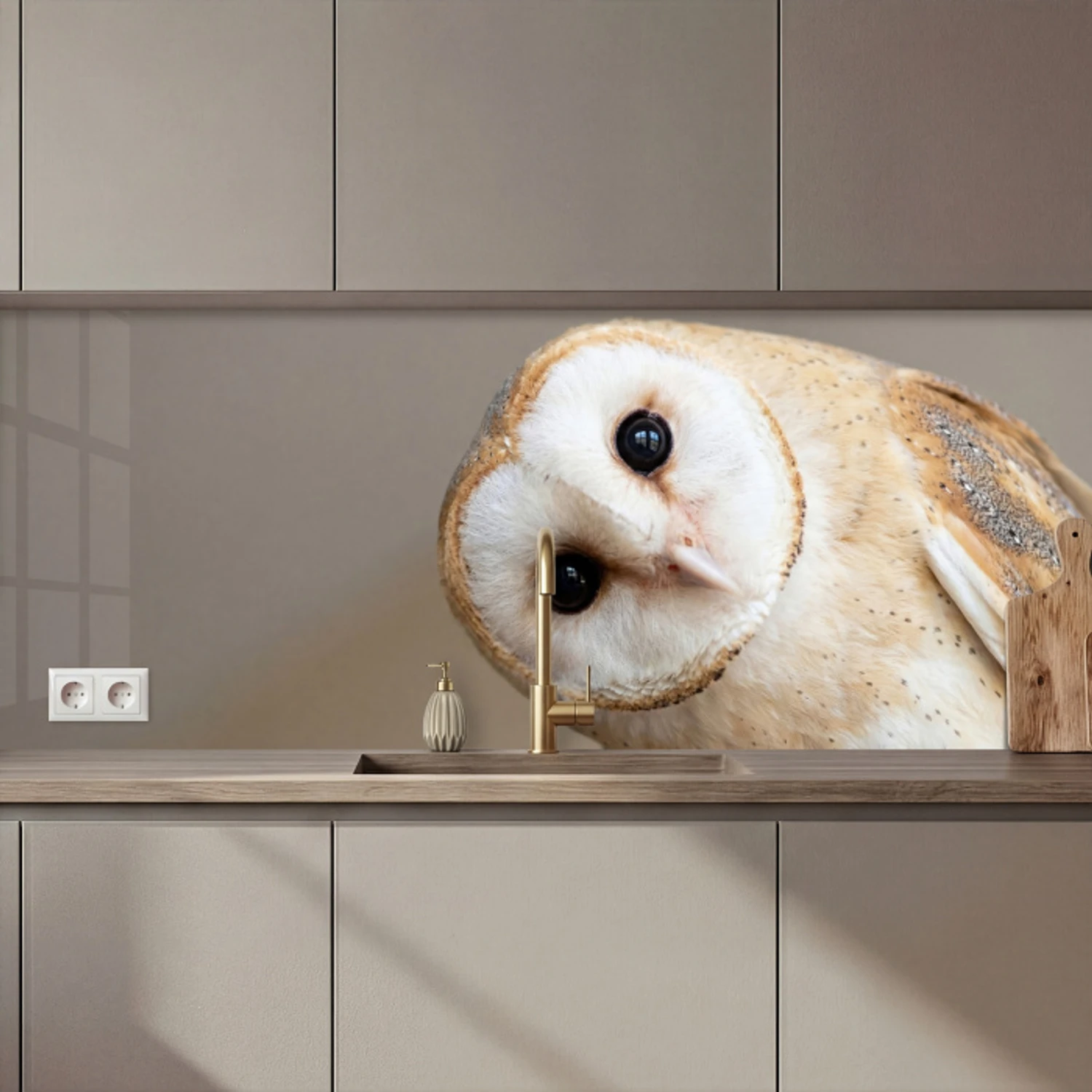 Uil - Bruin - Wit keuken achterwand 2 middel zz_3dshopping