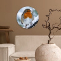 Roodborstje - Tak - Sneeuw - Winter - Levendig Wandcirkel kunststof plaat 5mm dik klein -sfeer1
