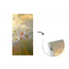 Madeliefjes - Wit - Zonlicht fotobehang vinyl groot -3d