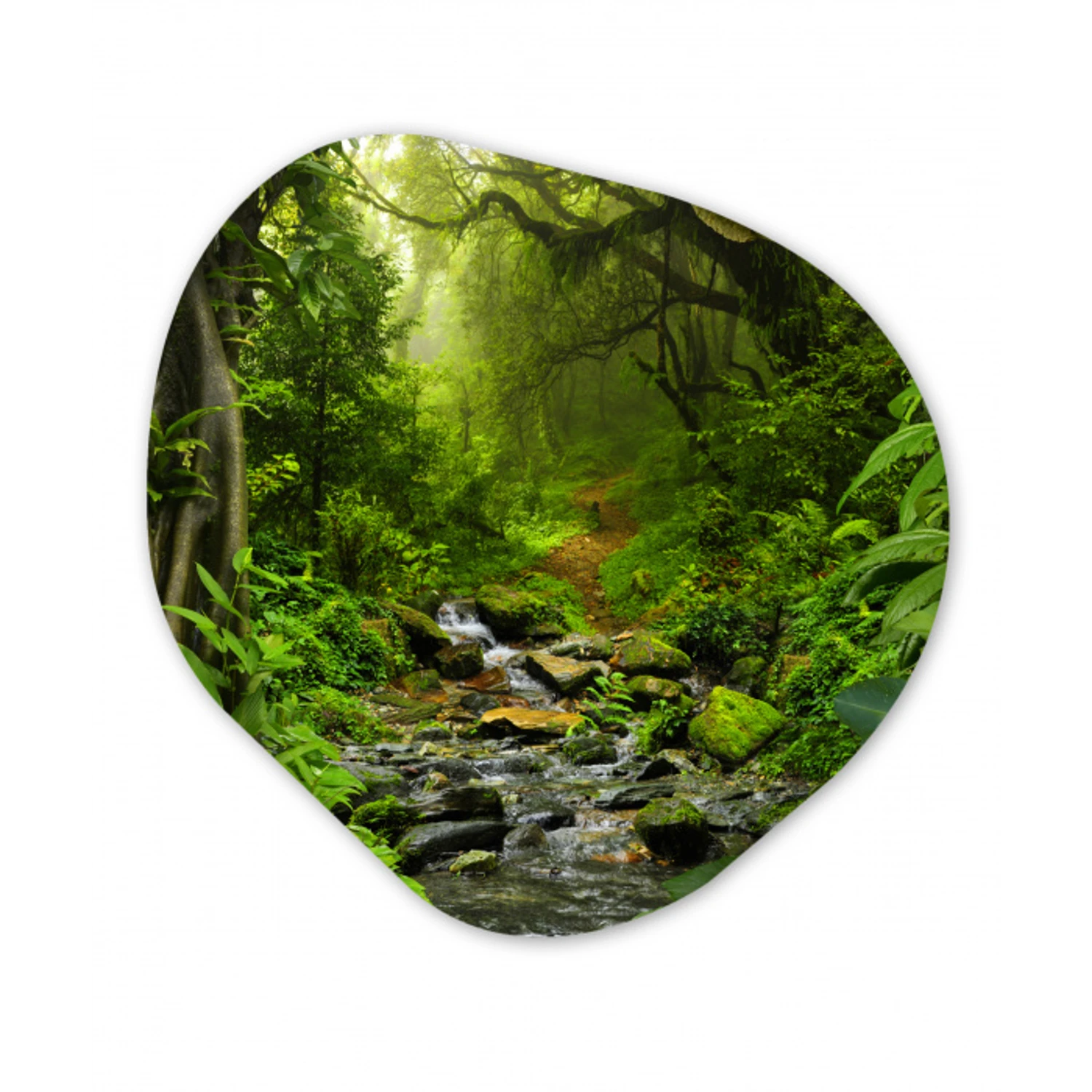 Natuur - Water - Jungle - Bos - Tropisch Wandcirkel Organisch Forex 3mm klein -3d