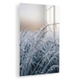 Rijp - Gras - Kristallen - Winter - Minimalistisch plexiglas 5mm klein -zzzproduct_nieuw