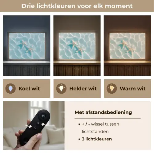 Zeesterren - Golvend water - Rustgevend Light Box met batterij (Wandlamp) middel -USP_lichtkleurNL