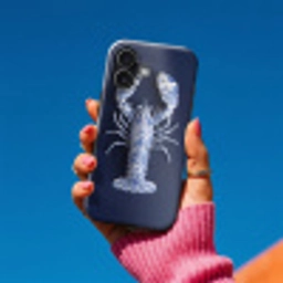 Kreeft - Porselein - Delfts - Blauw Toughcase MagSafe Apple iPhone 17 klein -Sfeer1V