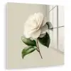 Cameliabloem - Wit - Groen plexiglas 5mm klein -zzzproduct_nieuw