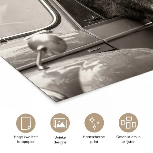 Eland - Auto - Gewei - Zwart - Wit poster papier klein -closeup_NL