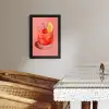 Glas - Ijsblokjes - Citroen - Kers KitchenYeah - Keuken - Fotolijst klein -sfeer3