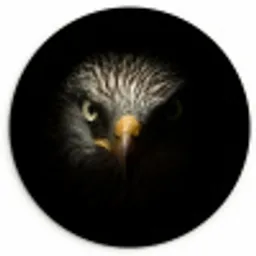 Vogel - Adelaar - Roofvogels - Oog - Snavel - Licht Wandcirkel kunststof plaat 5mm dik klein -3d