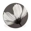 Bloem - Minimalistisch - Zwart - Wit Wandcirkel aluminium klein -3d
