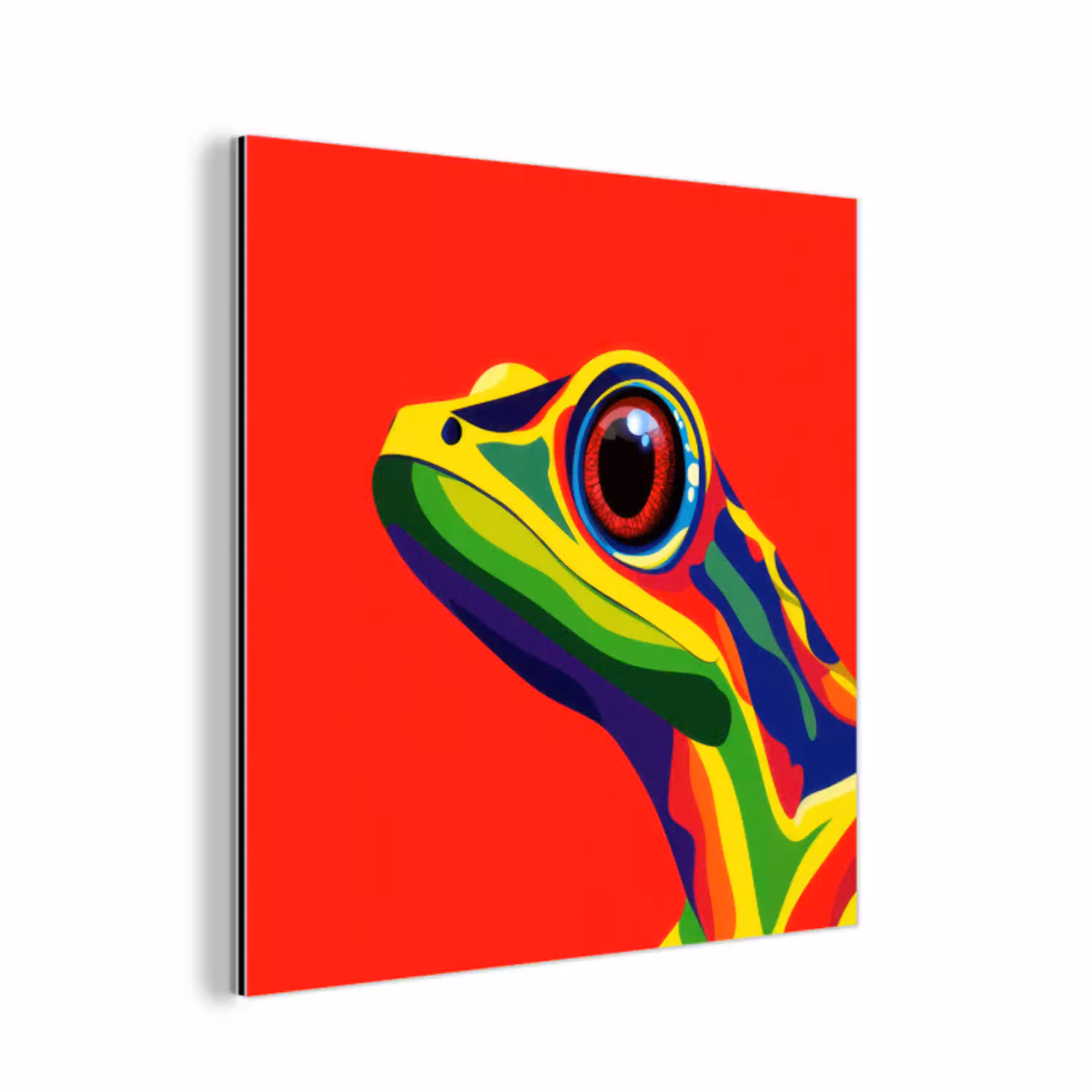 Kikker - Kleurrijk - Strepen - Ogen aluminium wit klein -3d