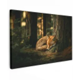 Vos - Bos - Slapen canvas 2cm klein -z3d