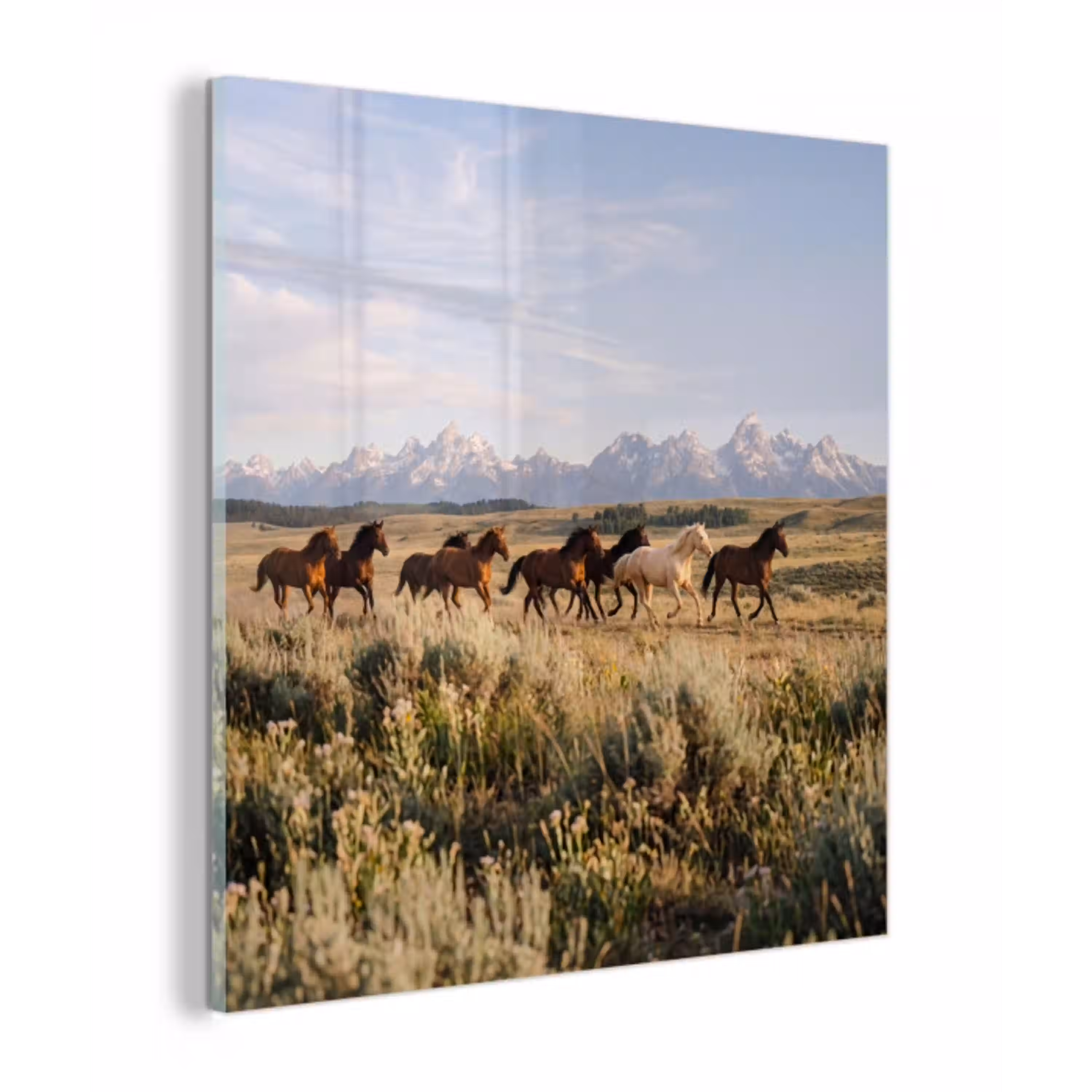 Paarden - Kudde - Bergen - Vrijheid - Wild plexiglas 5mm klein -z3d