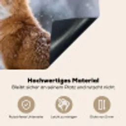 Vos - Sneeuwval - Portret - Winter - Sfeervol Inductie beschemer met haakjes klein -ky-onderkant-de