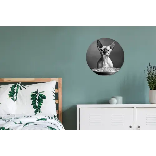 Sphynx - Kat - Dieren - Humor - Spaghetti - Zwart Wit Wandcirkel aluminium klein -slaapkamer