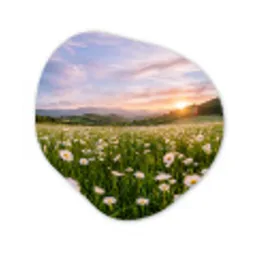 Madelief - Veld - Heuvels - Groen Wandcirkel Organisch Forex 3mm klein -3d