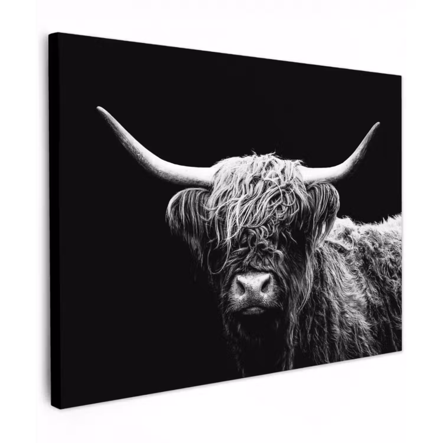 Leinwandbild - Schottischer Highlander - Kuh - Schwarz - Weiß - Tiere