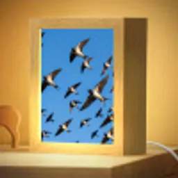 Zwaluwen - Vliegen - Blauw Light Box met kabel (Kinderlampje) klein -zzzz_3d_website