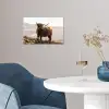 Schotse hooglander - Dieren - Landelijk - Landschap - Koe - Natuur poster papier klein -sfeer3