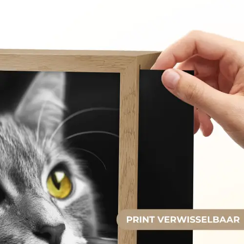 Kat - Zwart - Wit - Dieren - Natuur Light Box met kabel (Wandlamp) klein -USP_websiteprintNL
