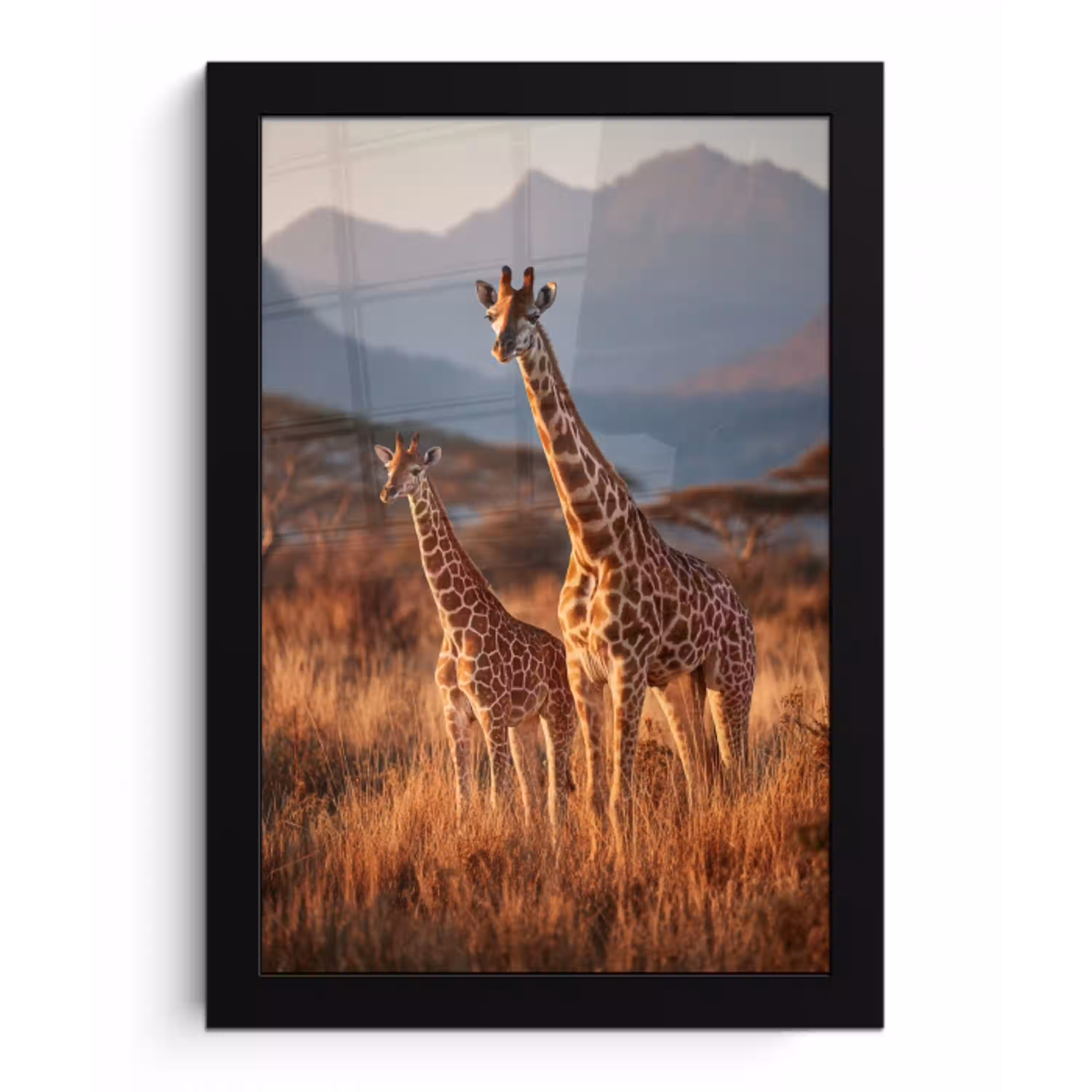 Giraffen - Hoog gras - Acaciabomen fotolijst zwart zonder passe partout klein -3d
