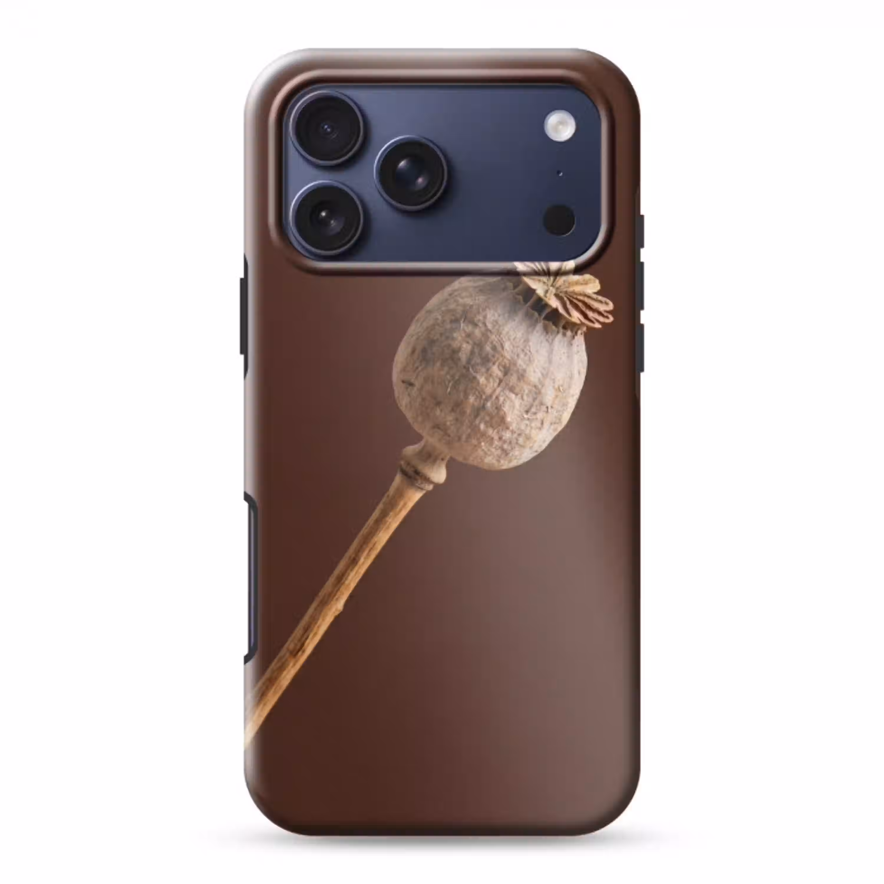 Papaverbol - Droogbloem - Bruin - Minimalistisch Toughcase MagSafe Apple iPhone 17 Pro Max klein -3d