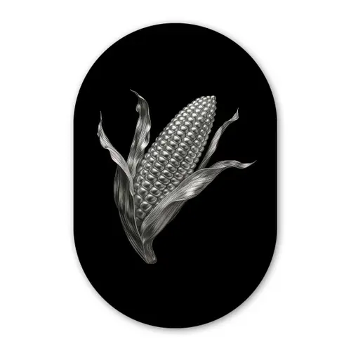 Maïskolf - Glanzend metaal - Elegant Wandcirkel Ovaal Forex klein -3d
