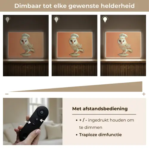 Kerkuil - Koksmuts - Oranje - Vogel Light Box met batterij (Wandlamp) middel -USP_dimbaarNL