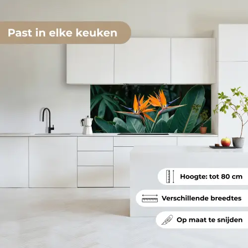Paradijsvogel - Bloem - Exotisch keuken achterwand 2 middel -sfeer4_NL