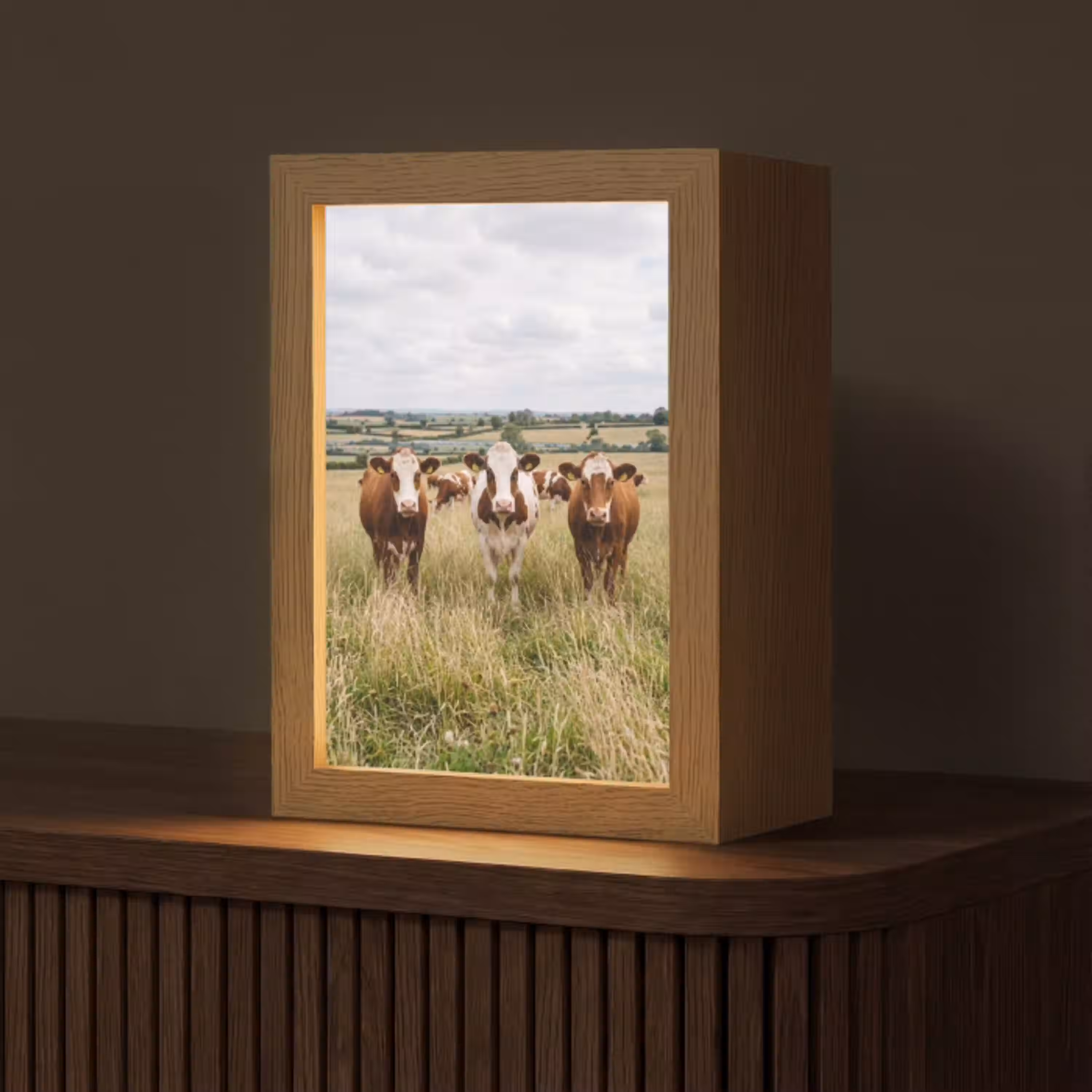 Koeien - Portret - Weide - Boerderij - Nieuwsgierig Light Box met kabel (Tafellamp) klein -z3d_website