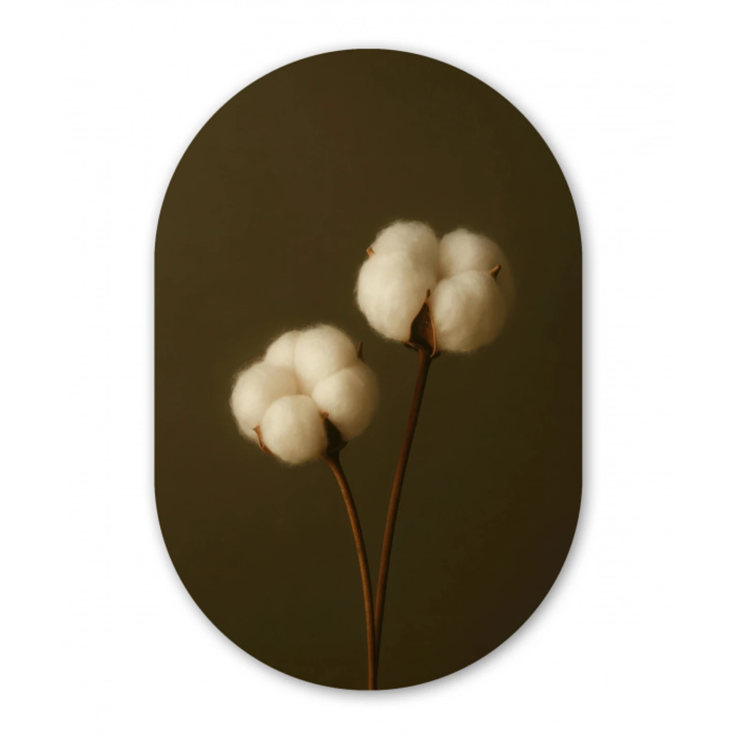 Takken - Katoen - Wit - Bollen Wandcirkel Ovaal Glas middel -3d
