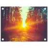 Zonsondergang - Bomen - Bos - Natuur tuinposter los doek klein -3d