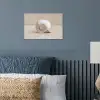 Schelp - Spiraal - Beige poster papier klein -sfeer2