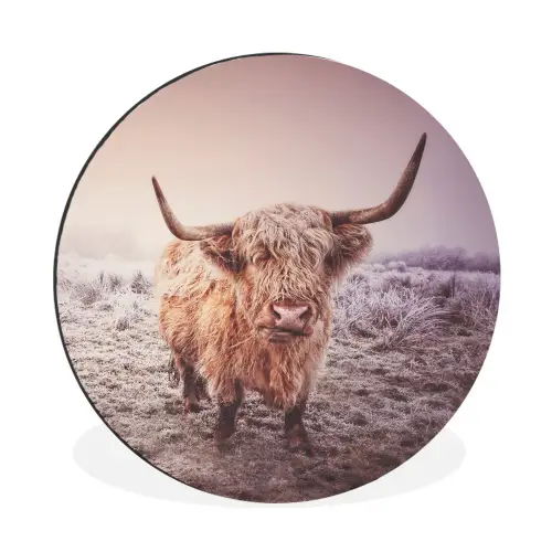 Schotse hooglanders - Licht - Lucht - Natuur Wandcirkel aluminium klein -3d