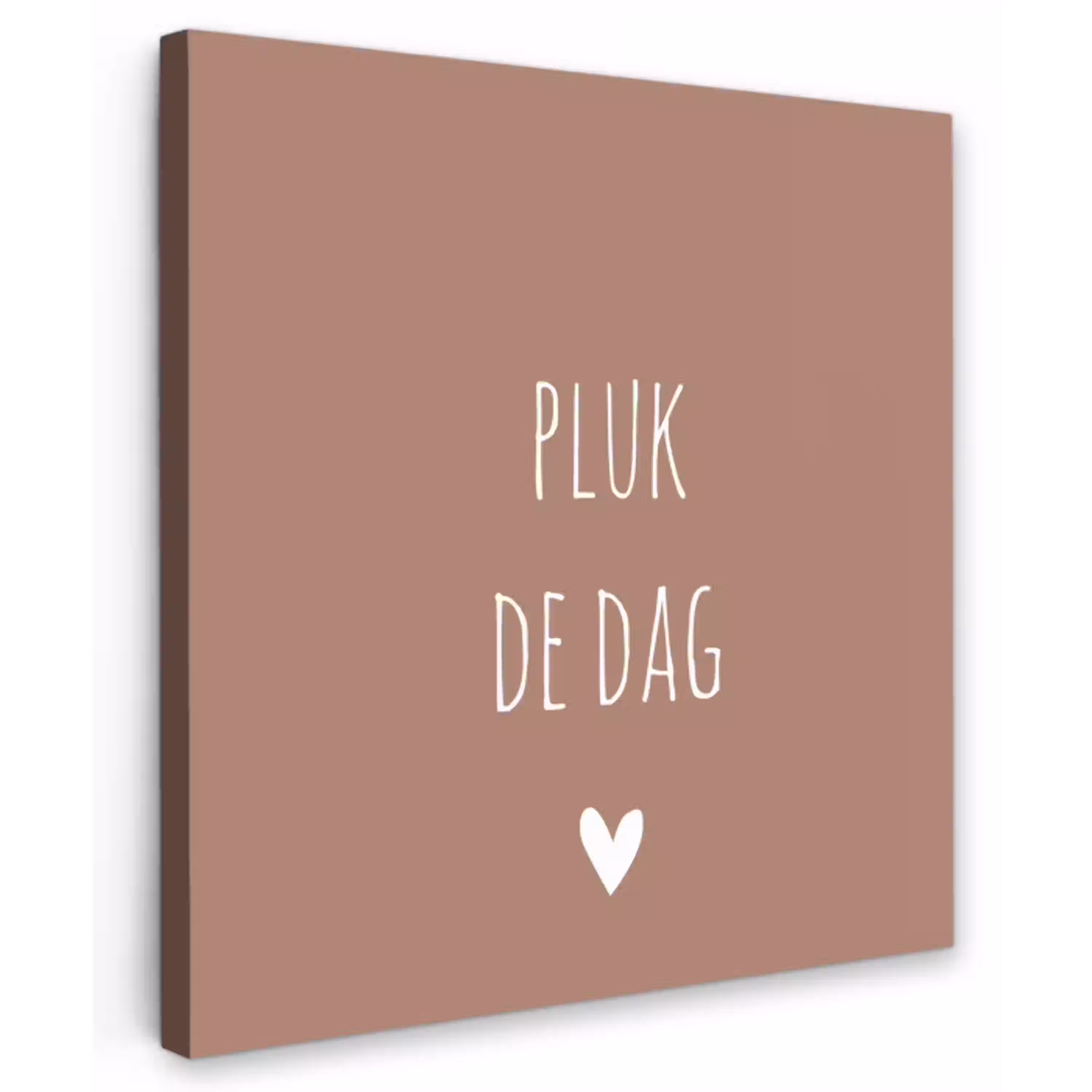 Quotes - Carpe diem - Pluk de dag - Spreuken Tuinposter op houten frame 2 cm dik klein -3d