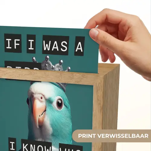 Parkiet - Turquoise - Quotes - Decoratie Light Box met kabel (Wandlamp) klein -USP_websiteprintNL