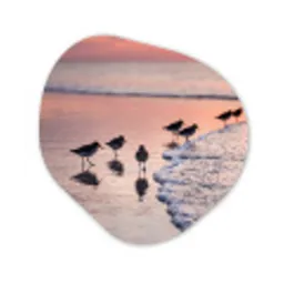 Meeuwen - Strand - Zee - Roze Wandcirkel Organisch Aluminium middel -3d