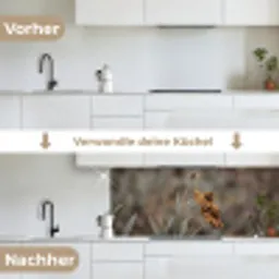 Zonnehoed - Droogbloemen - Geel - Warm keuken achterwand 2 middel -voor-na_DE
