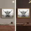 Schotse hooglander - Dieren portret - Zwart - Wit - Dier Light Box met batterij (Wandlamp) middel -sfeer3