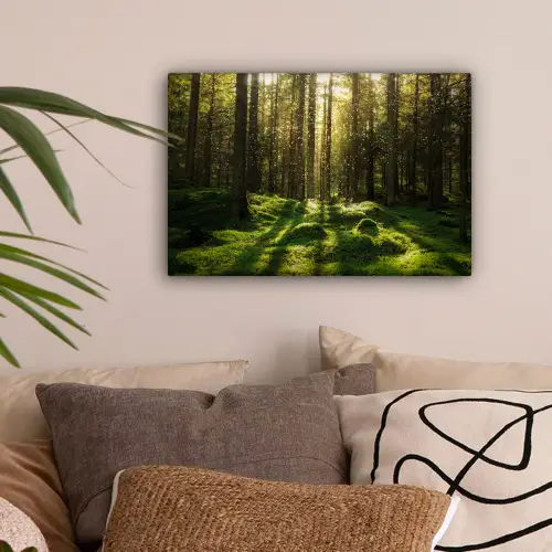 Bomen - Bos - Mos - Planten - Zon - Natuur canvas 2cm klein -sfeer1