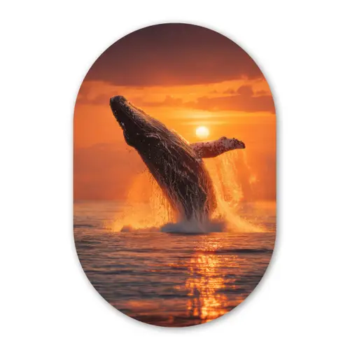 Walvis - Zon - Zee Wandcirkel Ovaal Forex klein -3d