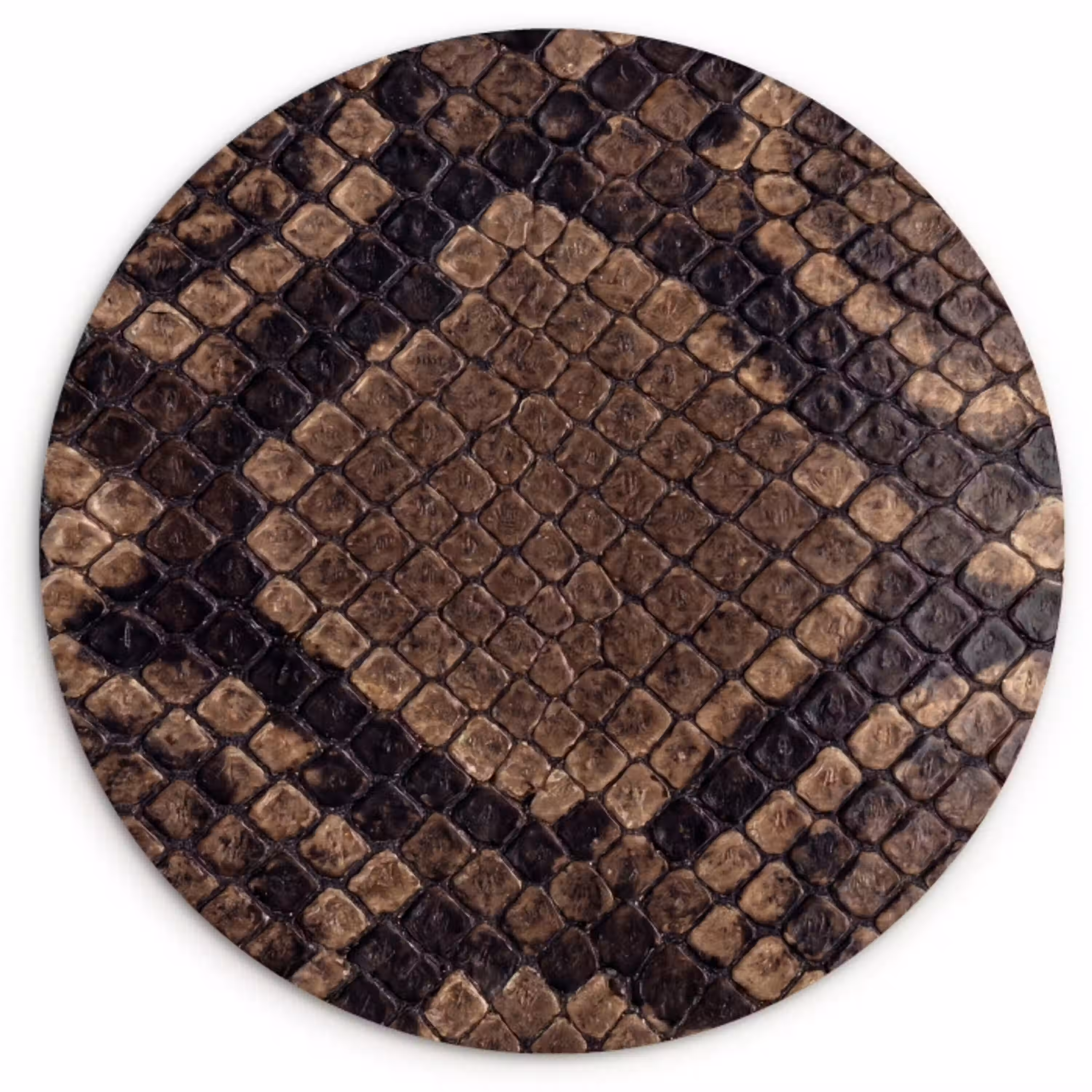Python - Schubben - Brons Wandcirkel kunststof plaat 5mm dik klein -3d