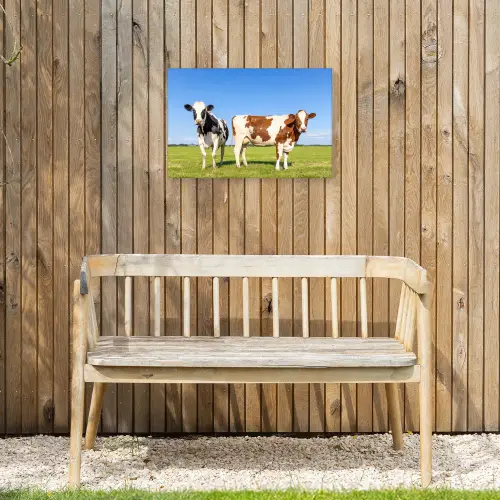 Koeien in de Weide Tuinposter op houten frame 2 cm dik klein -sfeer4